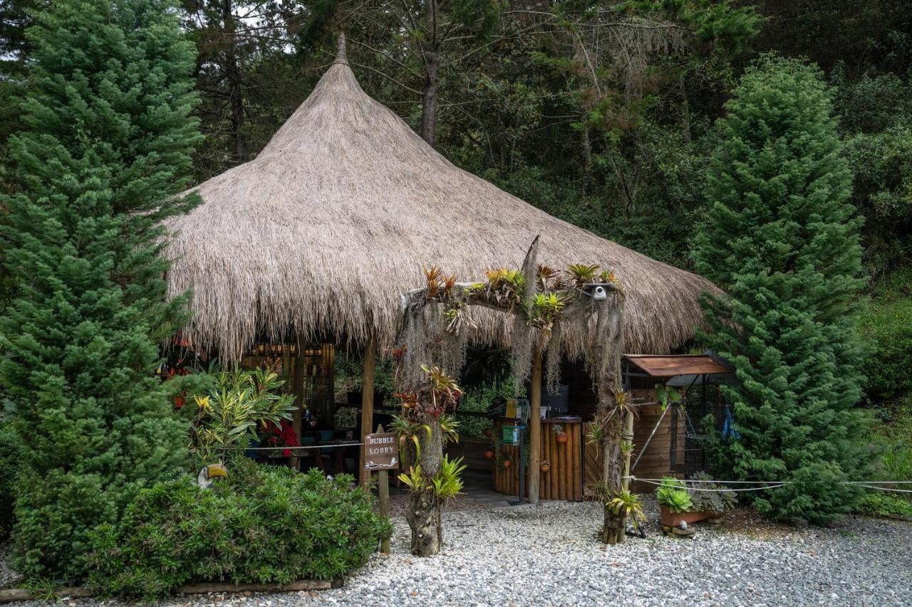 Campsite Bubblesky Glamping 40 Min From Medellin
