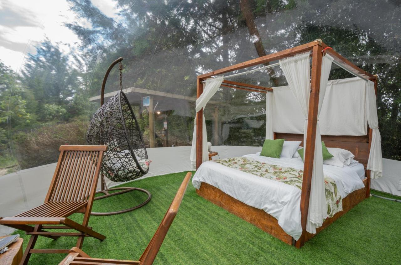 Bubblesky Glamping 40 Min From Medellin Camping