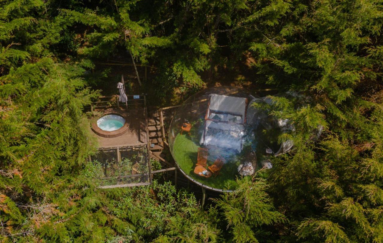 Bubblesky Glamping 40 Min From Medellin *