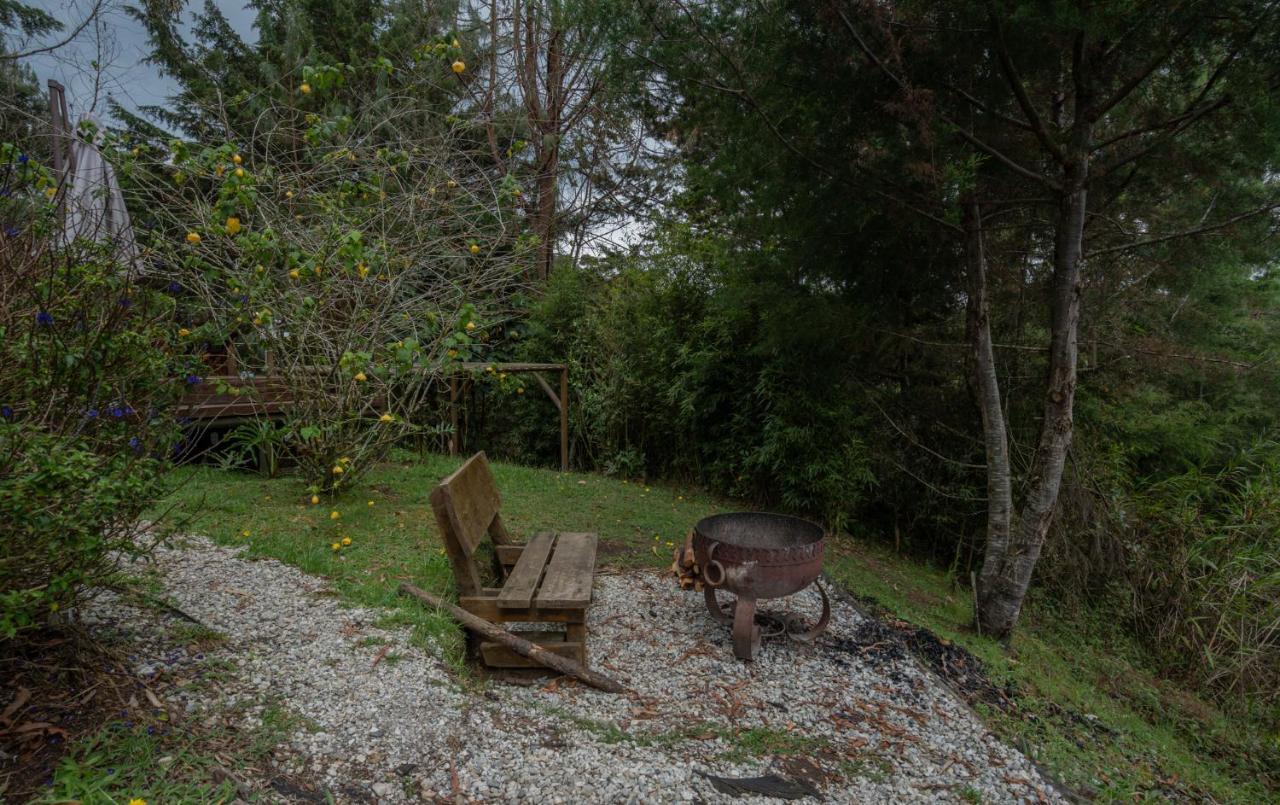 Campsite Bubblesky Glamping 40 Min From Medellin *